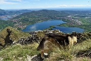 78 Dori osserva il Corno Birone appena salito e  in basso il Lago di Annone